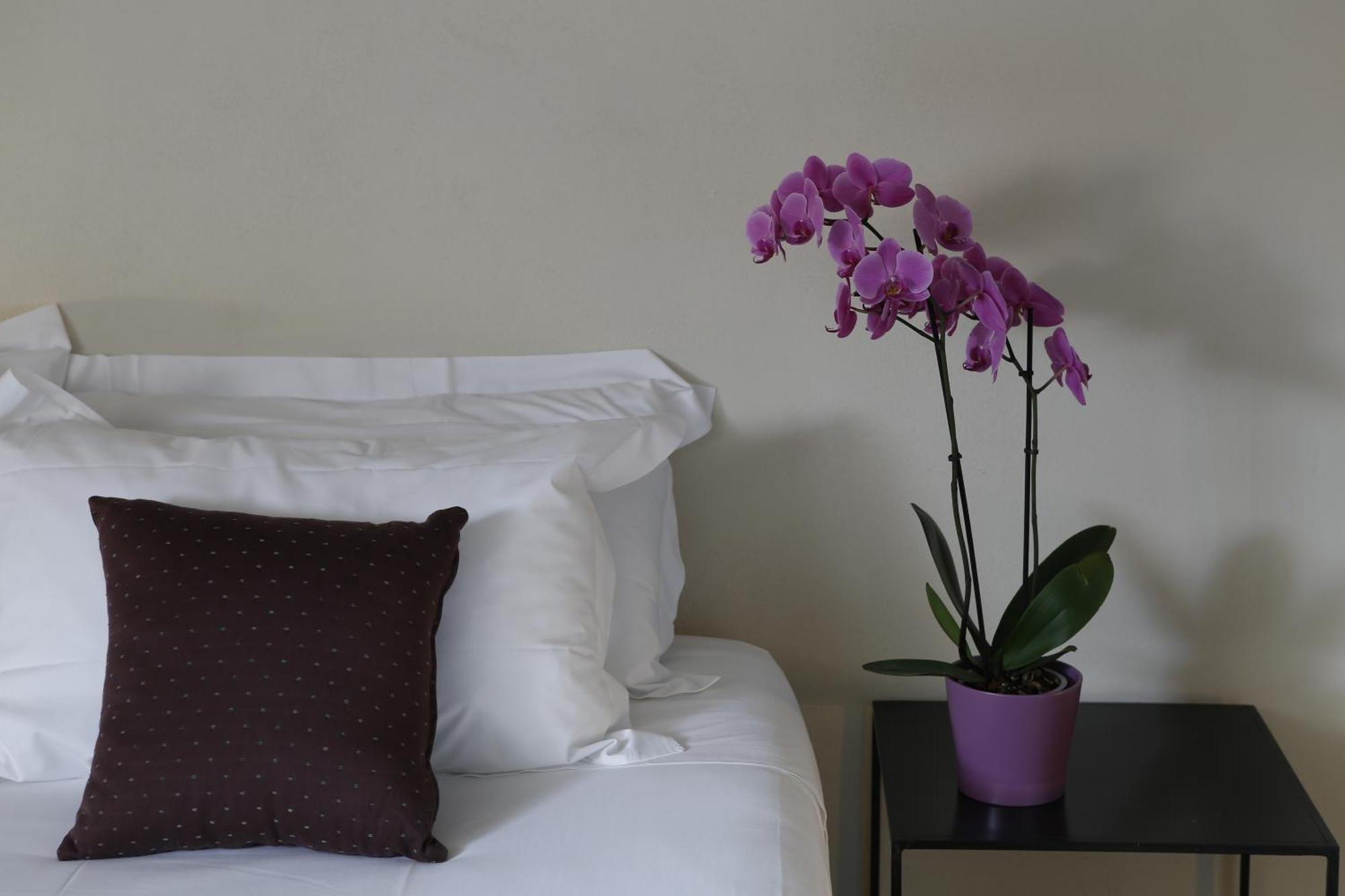 Residenza Dell' Opera 3*